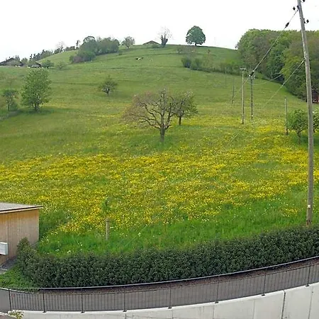 Hotel Schoenoertli Spiez